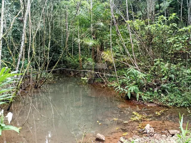 Imagem 13: Chácara Chácara com venda por R$575.000
