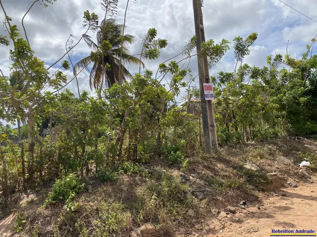 Imagem 1: Terreno / lote com venda por R$200.000