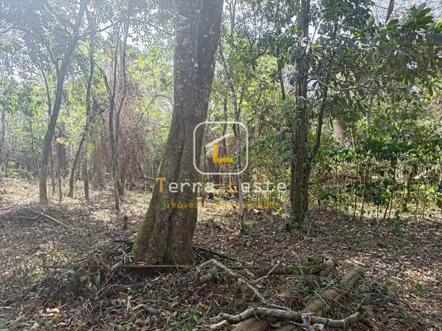 Imagem: Terreno à venda no bairro Aranha - Brumadinho/MG