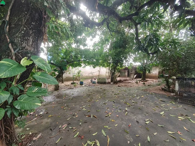 Imagem 3: Casa à venda em São João, Serra-ES: 4 quartos, 2 suítes, 3 salas, 5 banheiros, 2