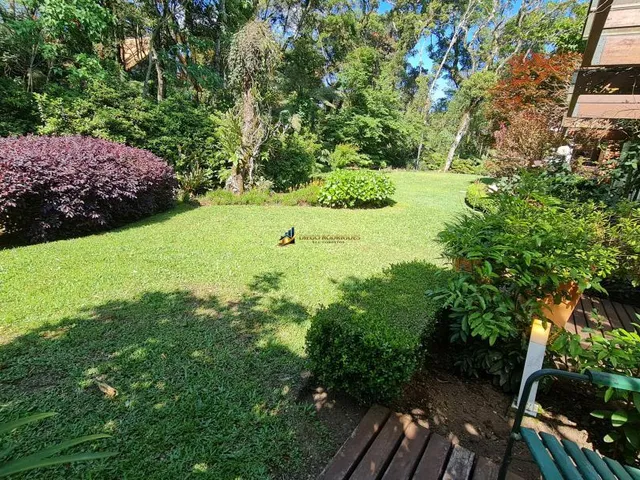 Imagem 11: Casa nobre em Gramado com amplo espaço de jardim e vegetação no Golf Club