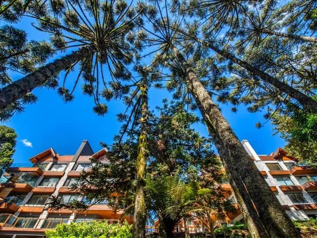 Imagem 5: Apartamento à venda em Gramado, no bairro Planalto