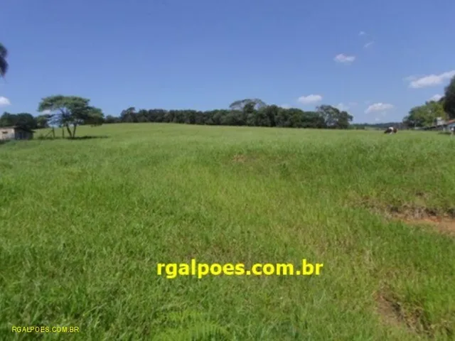Imagem: AREA - DUQUE DE CAXIAS