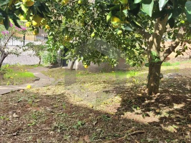 Imagem 5: Casa para locação, Centro, BENTO GONCALVES - RS