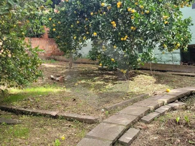 Imagem 6: Casa para locação, Centro, BENTO GONCALVES - RS