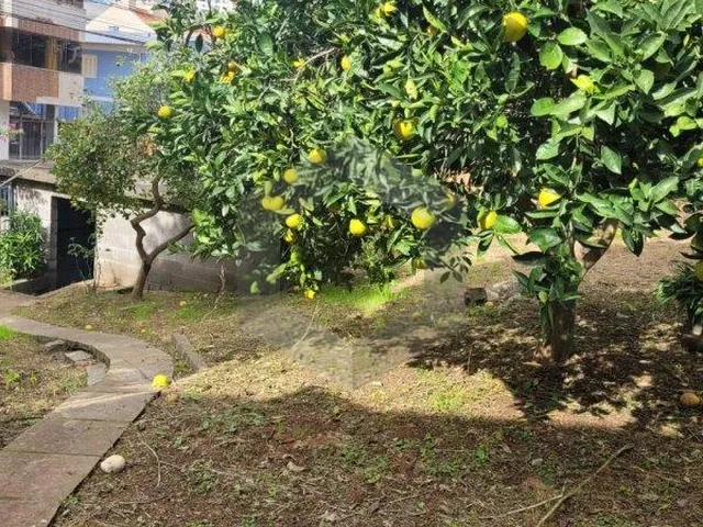 Imagem 9: Casa para locação, Centro, BENTO GONCALVES - RS