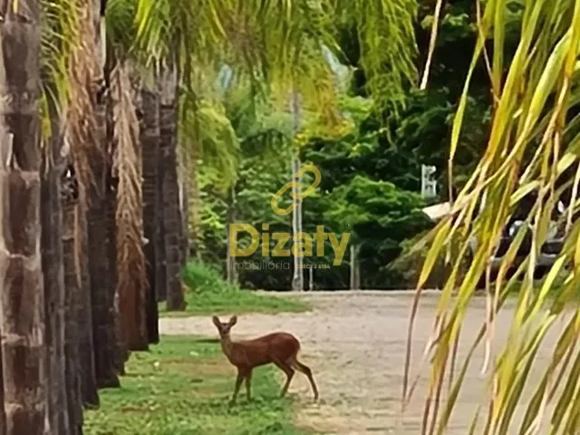 Imagem 12: LOTES A VENDA A PARTIR DE 1.000 METROS QUADRADOS NO CONDOMÍNIO SERRA MORENA