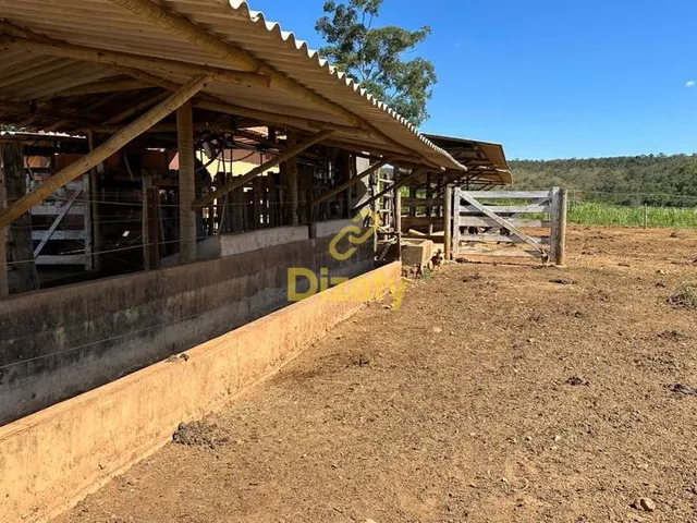 Imagem 3: FAZENDA A VENDA EM CORDISBURGO COM 70HEC TODO FORMADO