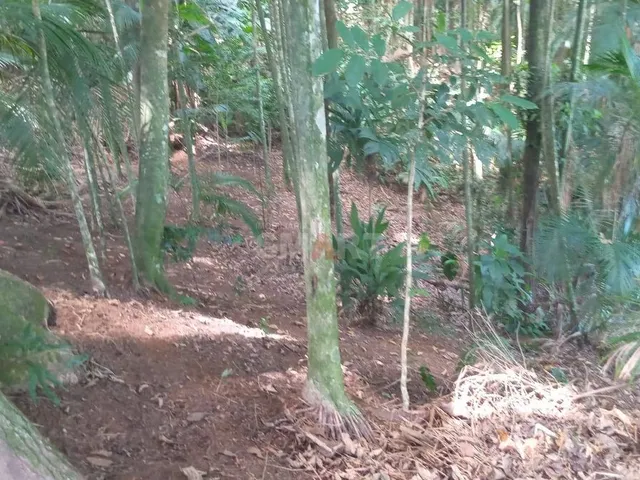 Imagem 9: Casa com 3 Quartos com Terreno Amplo para Construção ao Lado