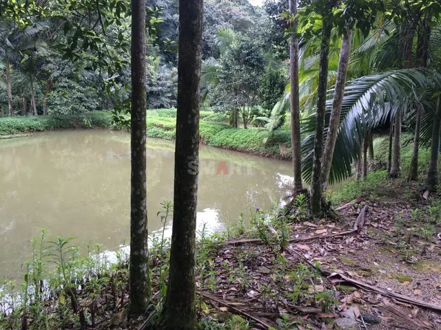 Imagem: Chácara à Venda em Guaramirim com 7 Lagoas
