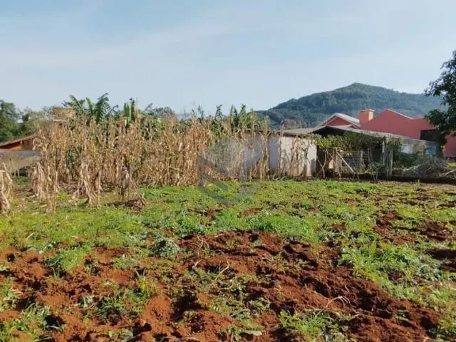 Imagem: Terreno Bairro Floresta - Dois Irmãos