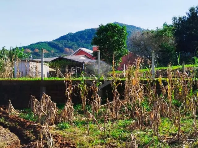 Imagem 4: Terreno Bairro Floresta - Dois Irmãos