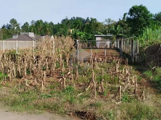 Imagem 7: Terreno Bairro Floresta - Dois Irmãos