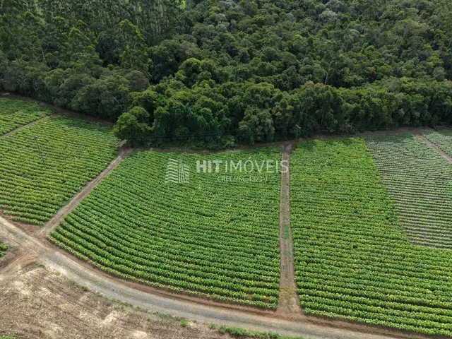 Imagem 5: TERRENO - NOVA ITÁLIA - AURORA - SC