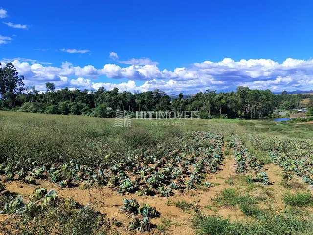Imagem 3: TERRENO - RIO ANTINHAS - PETROLÂNDIA - SC