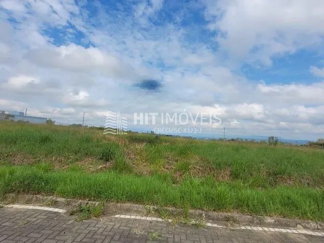 Imagem 3: TERRENO - MARQUÊS DE LA COLINA - ITUPORANGA - SC