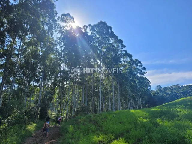 Imagem: TERRENO - RIO DE DENTRO - PETROLÂNDIA