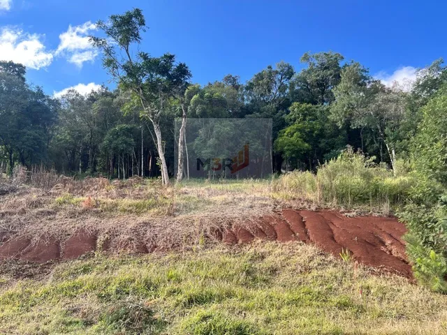 Imagem 2: Terreno à Venda no Bairro Piá em Nova Petrópolis