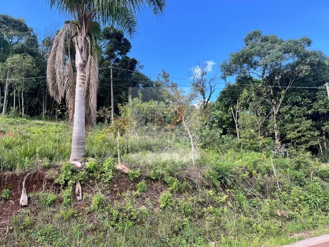 Imagem 4: Terreno à Venda no Bairro Piá em Nova Petrópolis