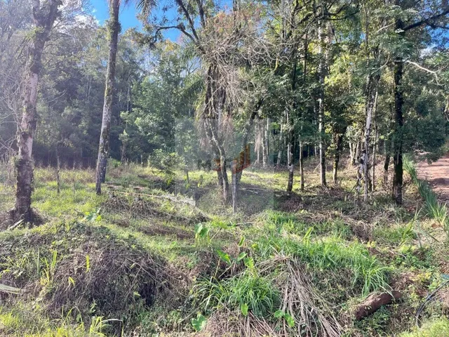 Imagem 2: Terreno à Venda no Bairro Piá em Nova Petrópolis