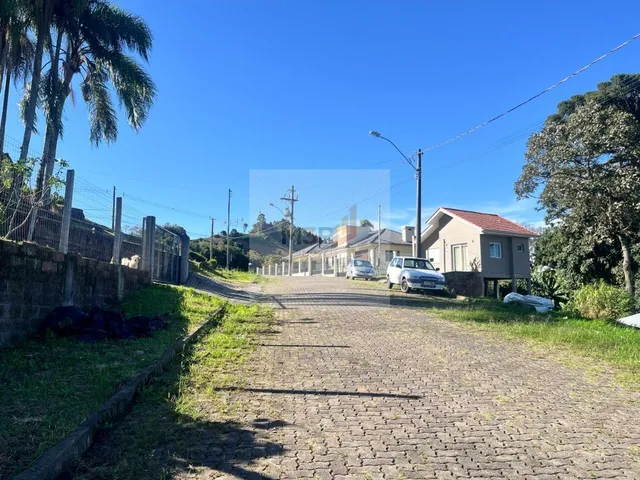Imagem 6: Terreno à Venda Pinhal Alto Nova Petrópolis 547m² Pronto para Construir