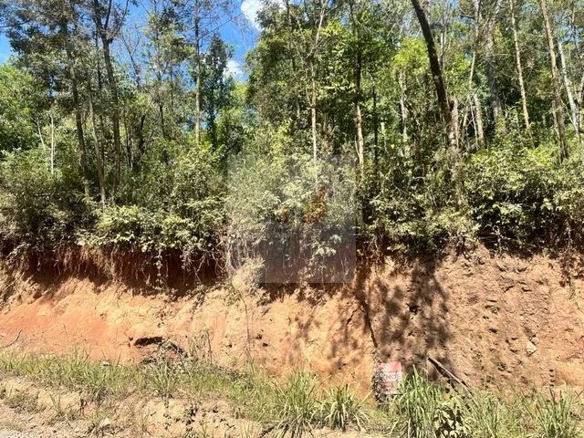 Imagem: Terreno à Venda em Nova Petrópolis 390m²