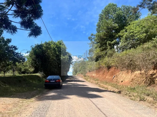 Imagem 3: Terreno à Venda em Nova Petrópolis | 390m² Linha Imperial