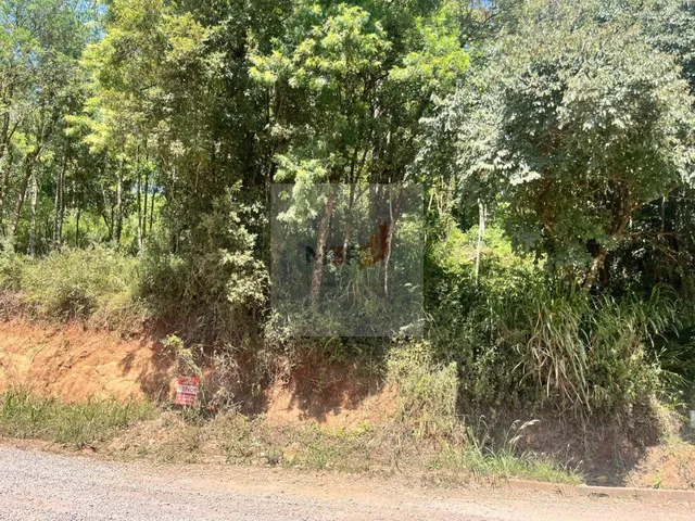 Imagem 2: Terreno à Venda em Nova Petrópolis | 387m² Linha Imperial