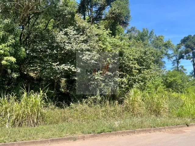 Imagem: Terreno Plano à Venda em Nova Petrópolis