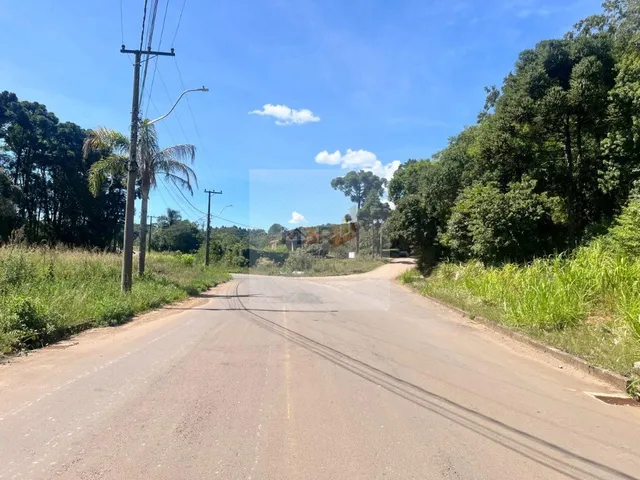 Imagem 3: Terreno Plano à Venda em Nova Petrópolis | 469m² Linha Imperial