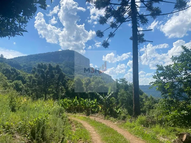 Imagem 12: Sítio com Vista Panorâmica em Nova Petrópolis | 3 Hectares Linha Riachuelo