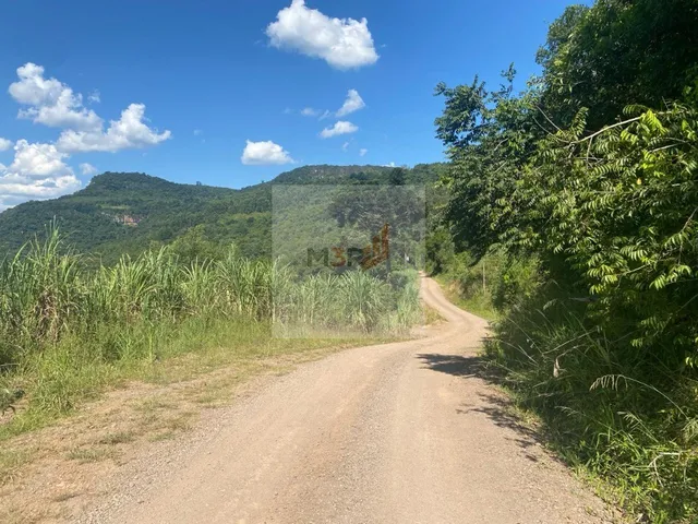 Imagem 15: Sítio com Vista Panorâmica em Nova Petrópolis | 3 Hectares Linha Riachuelo