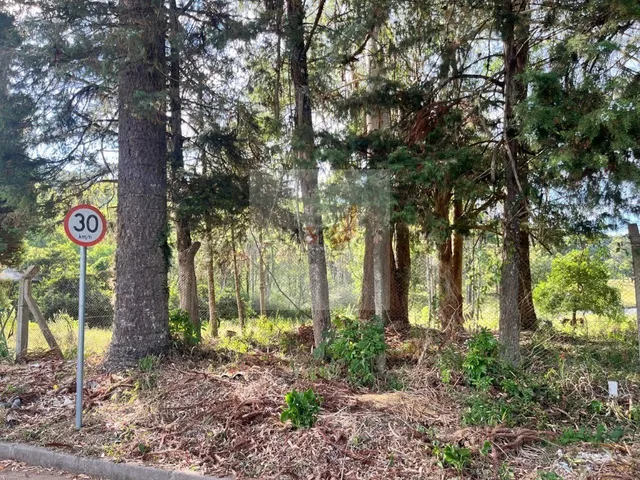 Imagem: Terreno à Venda em Nova Petrópolis 433m²