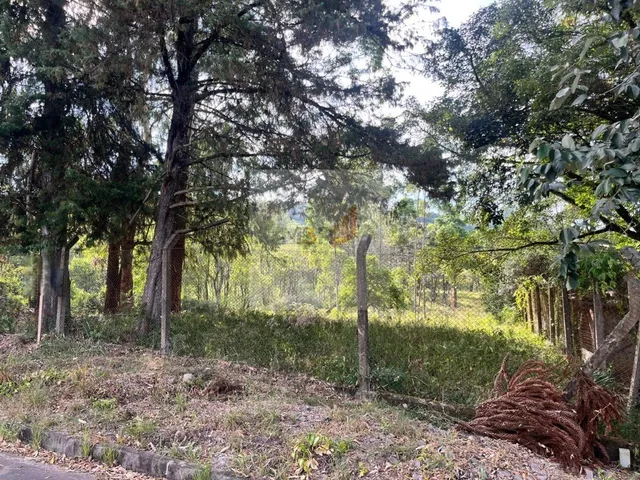 Imagem: Terreno à Venda em Nova Petrópolis 512m²