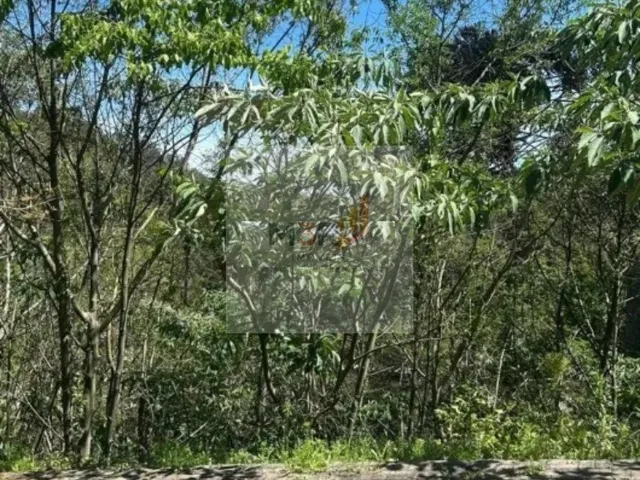 Imagem 2: Terreno à Venda em Nova Petrópolis | 378m² Loteamento Bosque das Araucárias I