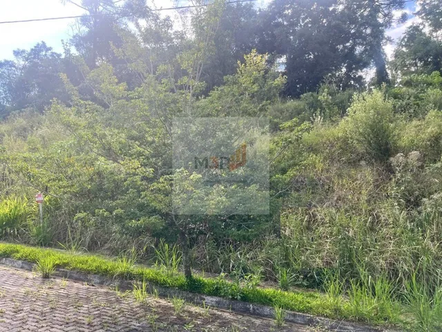 Imagem: Terreno à Venda em Nova Petrópolis 444m²