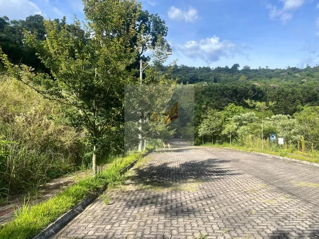 Imagem 4: Terreno à Venda em Nova Petrópolis | 444m² Loteamento Bosque das Araucárias I