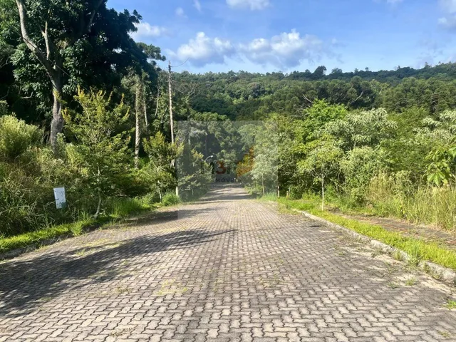Imagem 3: Terreno à Venda em Nova Petrópolis | 467m² Loteamento Bosque das Araucárias I