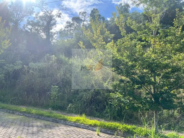 Imagem: Terreno à Venda em Nova Petrópolis 520m²