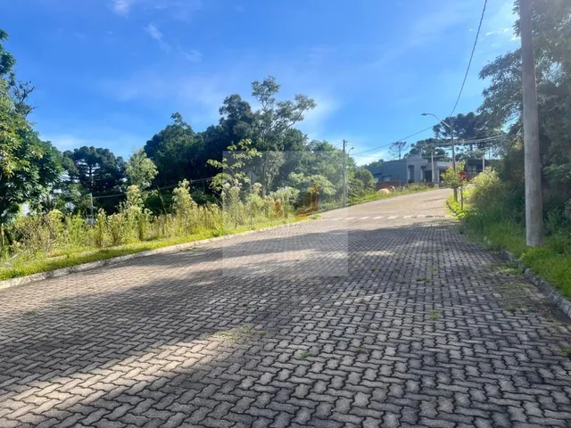Imagem 4: Terreno à Venda em Nova Petrópolis | 520m² Loteamento Bosque das Araucárias I