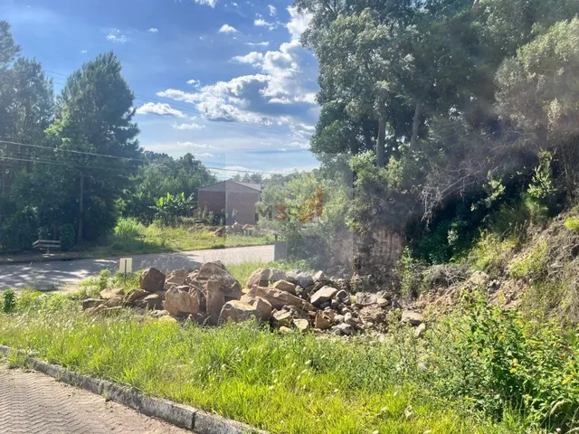 Imagem 3: TERRENO RESIDENCIAL em NOVA PETRÓPOLIS - RS, Linha Imperial