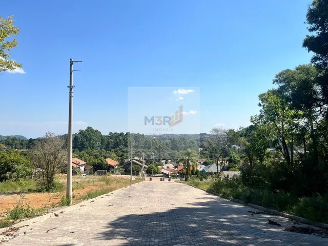 Imagem 3: TERRENO RESIDENCIAL em NOVA PETRÓPOLIS - RS, Piá