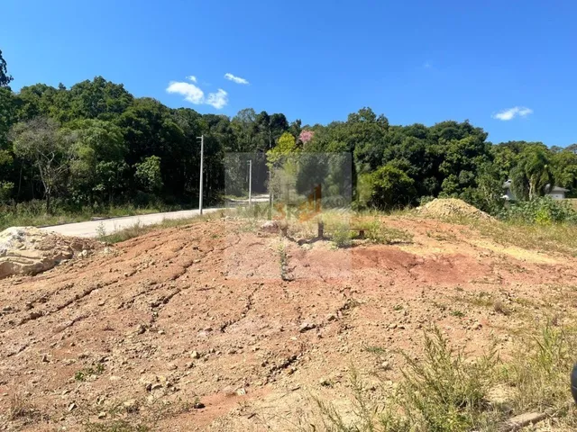 Imagem 2: Terreno Nova Petrópolis | Loteamento Altos da Olaria
