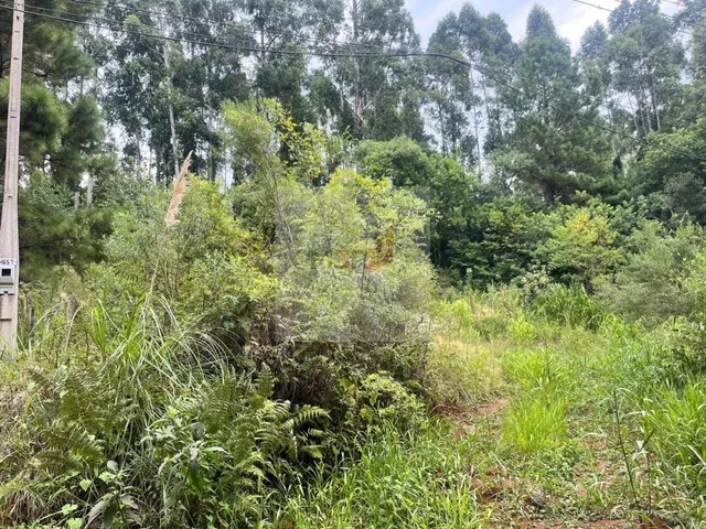 Imagem: TERRENO RESIDENCIAL em NOVA PETRÓPOLIS