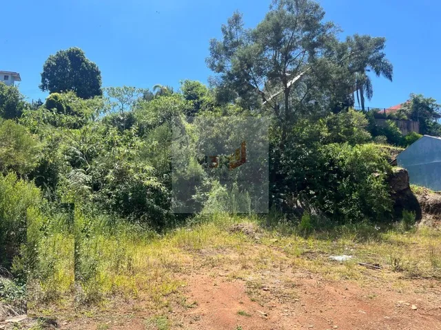 Imagem 2: Terreno à Venda no Logradouro Nova Petrópolis 363m² Pronto para Construir