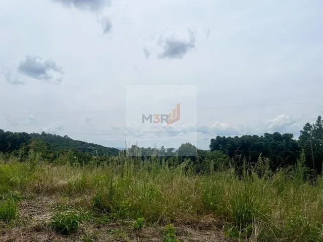 Imagem: Terreno na Linha Olinda Nova Petrópolis
