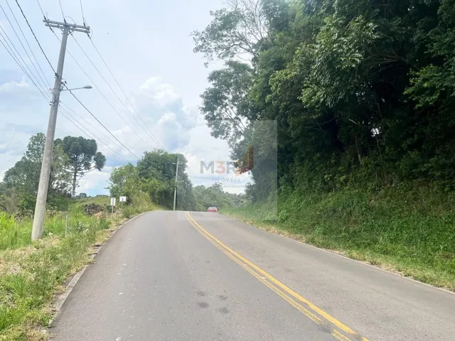 Imagem 4: Terreno na Linha Olinda Nova Petrópolis | 366m²