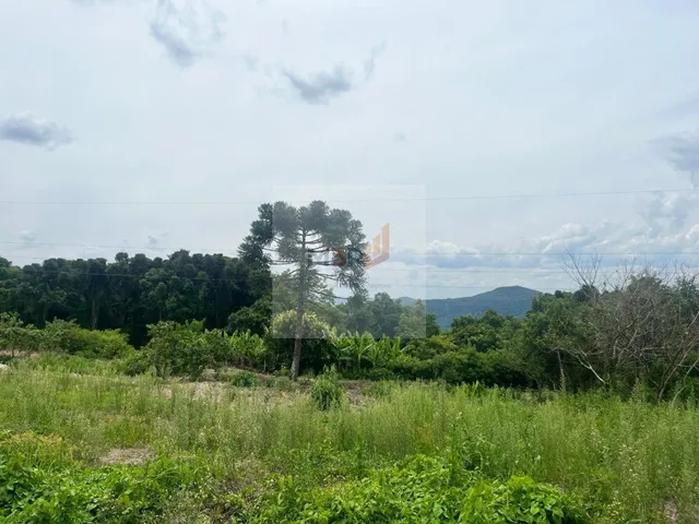 Imagem: Terreno na Linha Olinda Nova Petrópolis