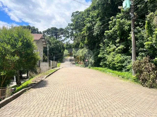 Imagem 4: TERRENO RESIDENCIAL em NOVA PETRÓPOLIS - RS, Logradouro