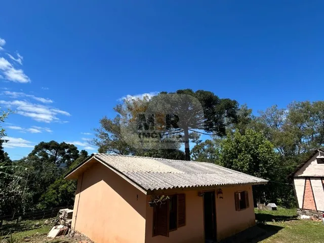 Imagem 4: Sítio à Venda em Nova Petrópolis | Vista Morro Malakoff
